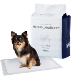 Item thumbnail for item 9c757b9a-7411-4c6d-894e-d94c1e4f3b83