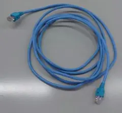 Cat 5e UTP LANケーブル 青　290mm