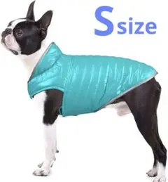 Item thumbnail for item b7635621-0f52-4aba-83b8-aba7d8c84e7f