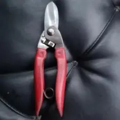 Item thumbnail for item 5e7a2797-49c7-4467-8296-e1a74871c699