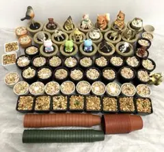 Item thumbnail for item 60613ad0-cefb-4258-a32d-ac093bfc33f9