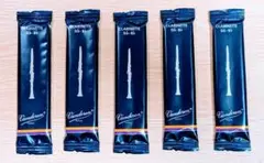 Item thumbnail for item bb8e29c1-c699-4f67-8555-9f08b45f6abe