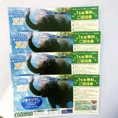 富士サファリパークチケット無料券　4枚　メルカリ便　即日発送　匿名配送　速達