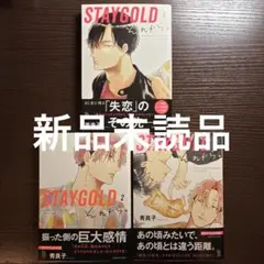 新品未読品　STAYGOLD それから。　1 2 3 全巻　秀良子