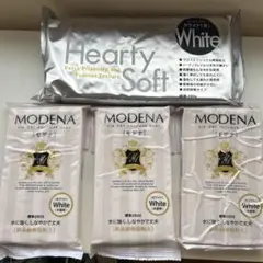 MODENA 樹脂粘土 3個セット & ハーティソフト粘土 1個