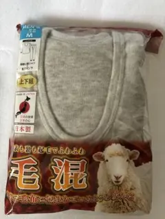 Item thumbnail for item cc9ae590-cf26-4d1b-85dc-4b76f151f173