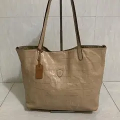 Item thumbnail for item 1a1cfd1e-d8bd-475a-97c1-a92a7593ad5c