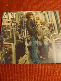 浅井健一 & THE INTERCHANGE KILLS/Sugar DVD付