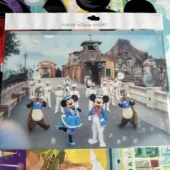イマジニングザマジック クリアホルダー 2枚 ディズニー ミッキー ミニー