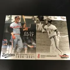 73年カルビープロ野球カード 東海地区限定版No.224島谷金二 中日ドラゴンズ カルビー プロ野球カード 38 島谷金二 74年 1974年 中日