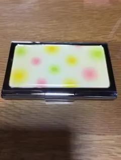 Raymay CH126 スチールカードケース