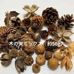 NO.559-182 木ノ実ミックス(木の実／素材) 約50g入