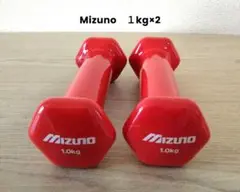 MIZUNO 鉄アレイ 1kg×2個セット