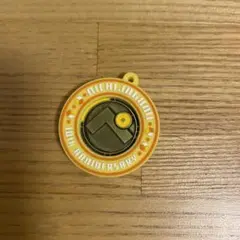 日常組　10周年　コイン　ぺいんと