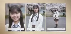 櫻坂46 山川宇衣 生写真 コンプ