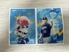 中日ドラゴンズ 大野雄大＆パオロン 竜ブロマイド