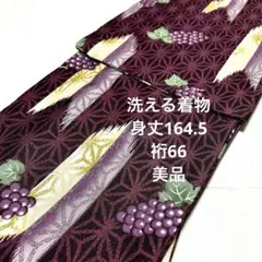 洗える着物　葡萄　麻の葉　矢羽根　裄66 ボルドー　ワイン色　小紋　美品【Ｙ5】