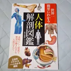 世界一簡単にわかる人体解剖図鑑
