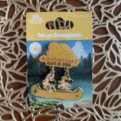 Tokyo Disneyland 39th Anniversary Pin