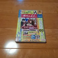週刊AKB Vol.8