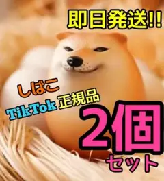 柴犬 スクイーズ シバイヌ しばこ シバコ 柴犬卵 フィギュア 2個セット
