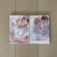 BL いつか恋になるまで　上下