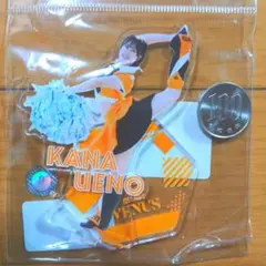 上野華菜　読売ジャイアンツ　巨人軍　ヴィーナス　VENUS　アクリルスタンド
