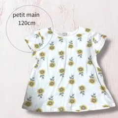 Item thumbnail for item be5c7ce4-8dd4-473e-9f91-930aa50227d2