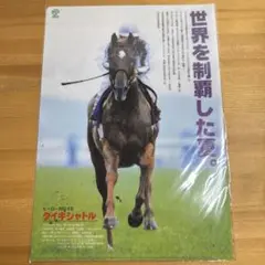 JRA タイキシャトル　クリアファイル　ヒーロー列伝45