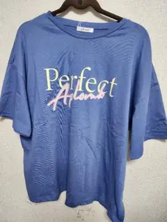 グリーム プリントTシャツ Fサイズ