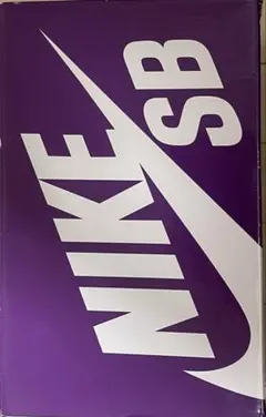 NIKE SB why so sad