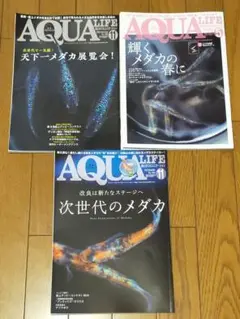 AQUA LIFE 天下一メダカ展覧会!他3冊セット