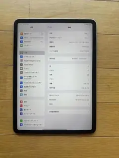 iPad Pro 11 M2 (第4世代) 256GB wifi シルバー