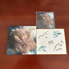 猫戦 蜜・月・紀・行 CD サイン付き