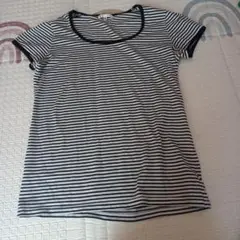 OLZA ストライプ 半袖Tシャツ Mサイズ