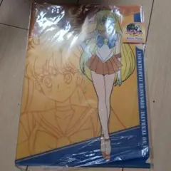 Item thumbnail for item 01f39a74-dd1a-4dd8-9f88-d209589bbbe1