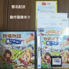 牧場物語 ようこそ!風のバザールへ