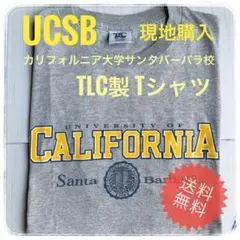 UCSB　カリフォルニア大学サンタバーバラ校 TLC製 Tシャツ現地購入