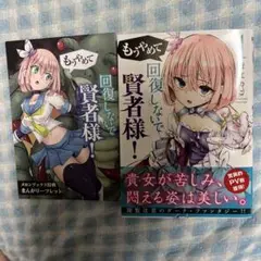 回復しないで賢者様！まんがリーフレット付き