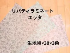 Item thumbnail for item 9525ae04-0dab-423a-a32d-da88a1f4a708