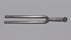 Item thumbnail for item 72d0ef2c-c4ae-4f8c-88c0-5ebdf6fe8e49