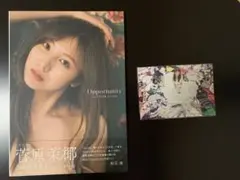 SKE48 菅原茉椰2nd写真集 Opportunity ポストカード付き