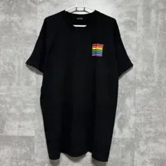 90sUSA POSTMARK アート柄　Tシャツ　フルーツオブザルーム　XL