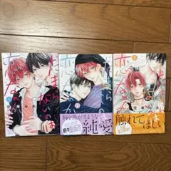 たまらないのは恋なのか1～3巻