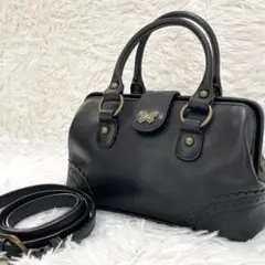 【希少・廃盤品】ANNA SUI アナスイ　ドクターズバッグ　2way
