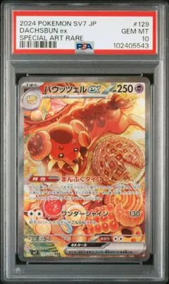 2025年最新】バウッツェル sar psa10の人気アイテム - メルカリ