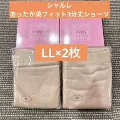 Item thumbnail for item 1ac73242-7cf1-4b00-a6c8-0fad54a4e0f2