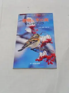野鳥と木の実ハンドブック