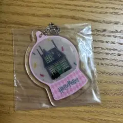ハリーポッター一番くじアクリルキーホルダー