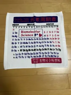 Item thumbnail for item c74902ab-c957-4179-90ea-15f6035551d8